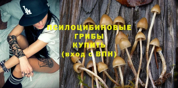 альфа пвп Горно-Алтайск